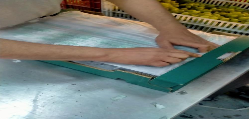 project